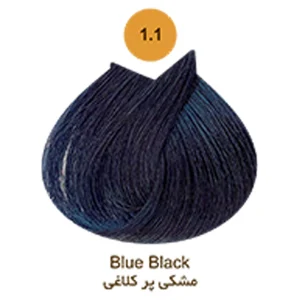 شماره 1/1